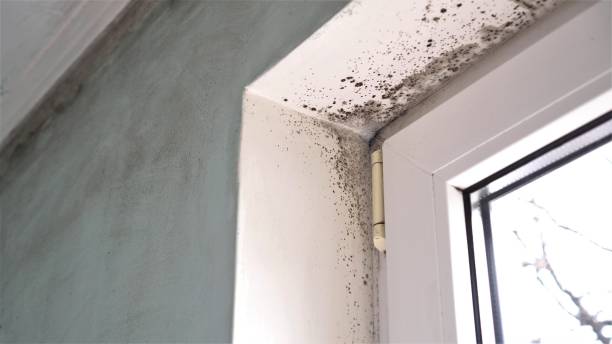 Water Damage Restoration in Camanche, IA