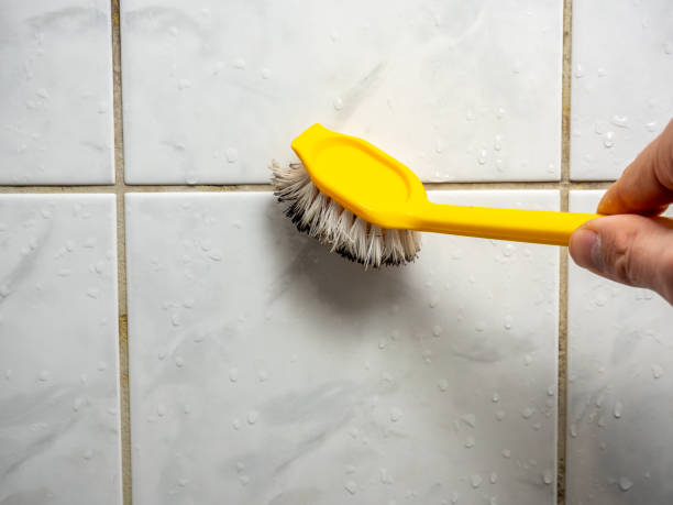 Best Home Mold Removal  in Camanche, IA
