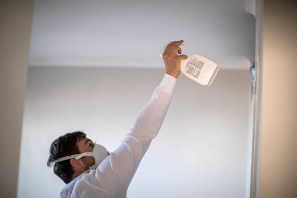 Best Fast Mold Removal  in Camanche, IA