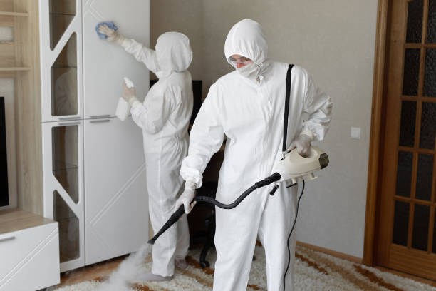 Best Certified Mold Removal  in Camanche, IA