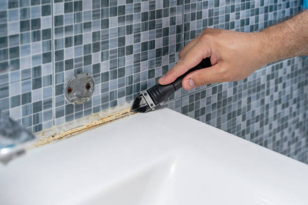 Best Mold Removal Near Me  in Camanche, IA