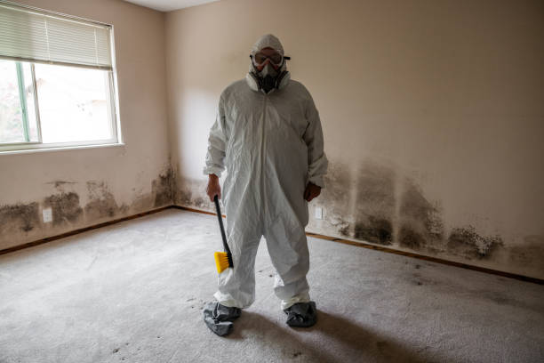 Best Residential Mold Removal  in Camanche, IA